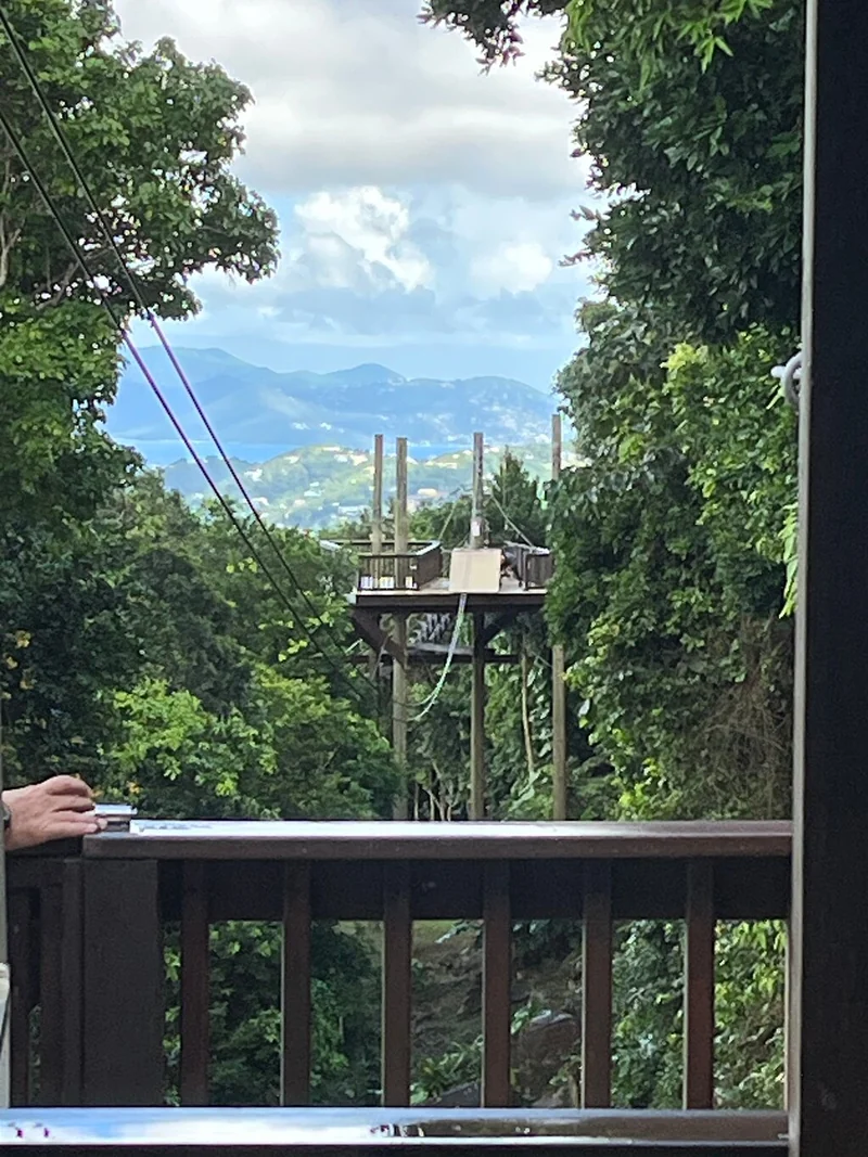 Un cable de tirolina saliendo de una plataforma de madera hacia el bosque